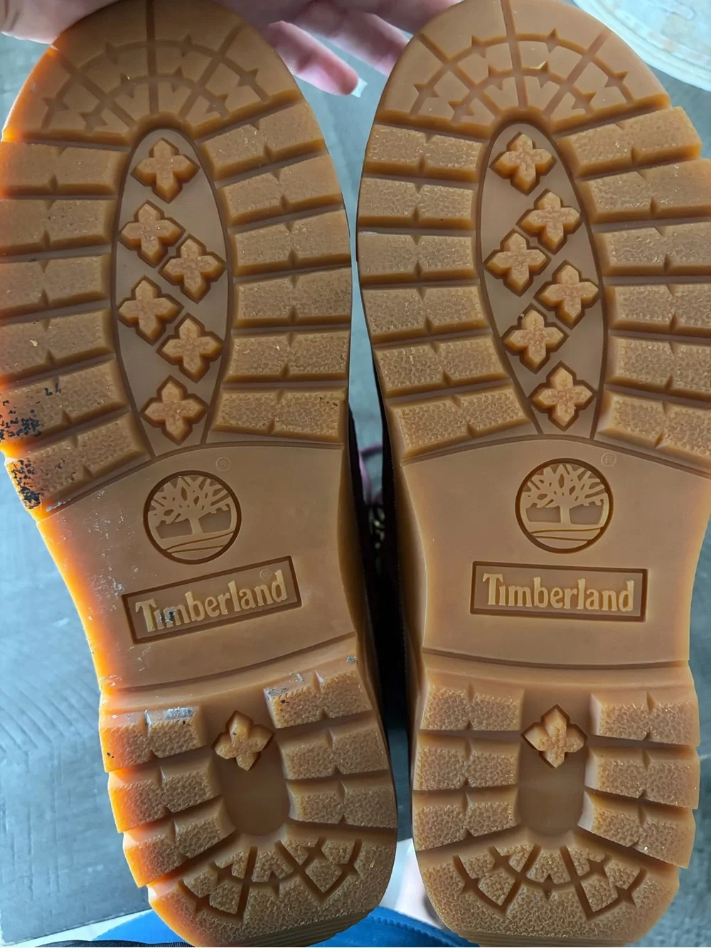 Timberland Legends Club Velvet 6” Field Boot